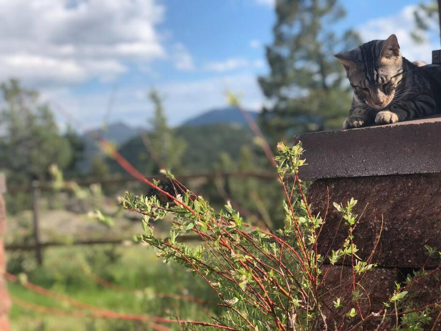 Boulder Best City And Nature With Lake And Trails Pets Ok Екстериор снимка